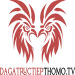Profile picture of Dagatructiepthomo Tv