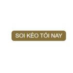 Profile picture of Soi kèo tối nay