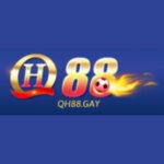 Profile picture of QH88