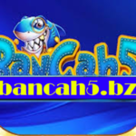 Profile picture of bancah5bz