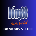 Profile picture of BONG88 Viva88