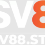 Profile picture of sv88style