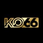 Profile picture of KO66