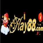 Profile picture of Hay88 Casino