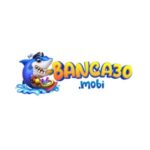 Profile picture of banca30 world