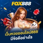 Profile picture of fox888